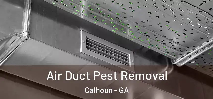  Air Duct Pest Removal Calhoun - GA