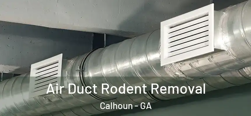  Air Duct Rodent Removal Calhoun - GA