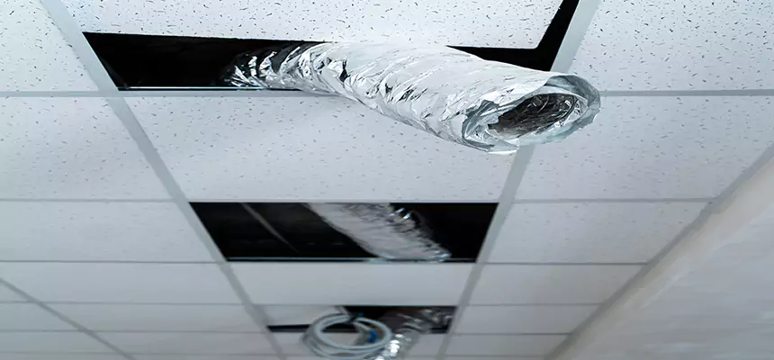 Affordable HVAC Sanitizing After Pest Removal in Calhoun