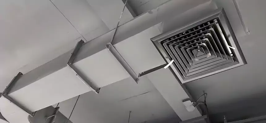 Restorative Allergy Relief Vent Cleaning – Coil, Blower & Housing Detail in Calhoun