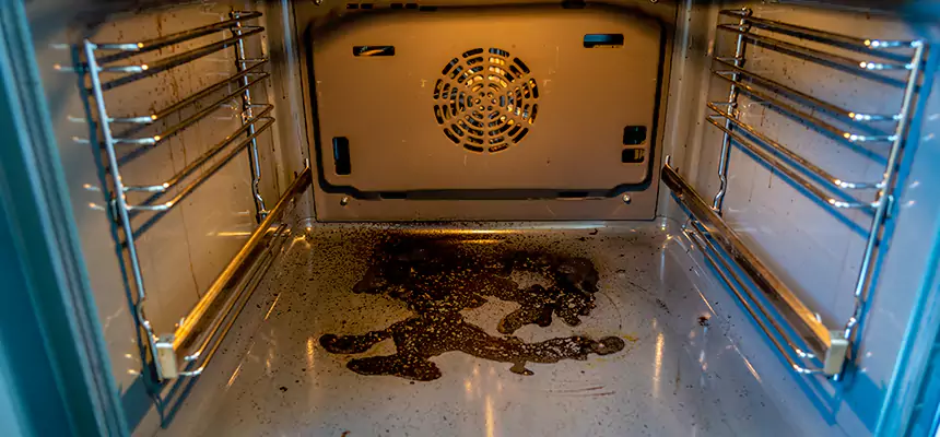 Our Dryer Vent Mold Cleaning Services in Calhoun, GA