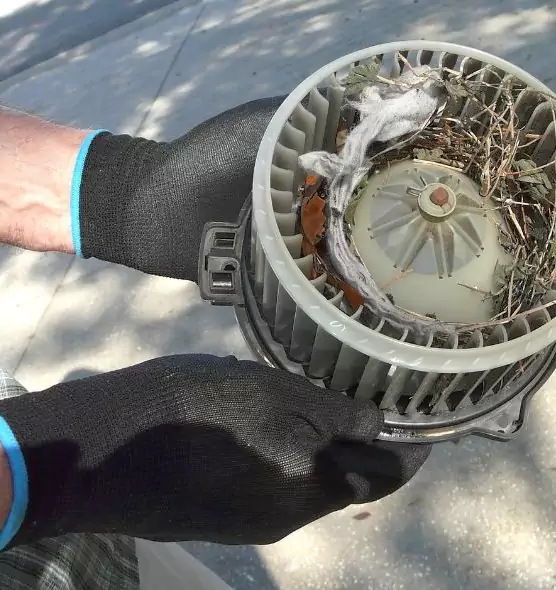 About Air Duct Mice Removal in Calhoun, GA