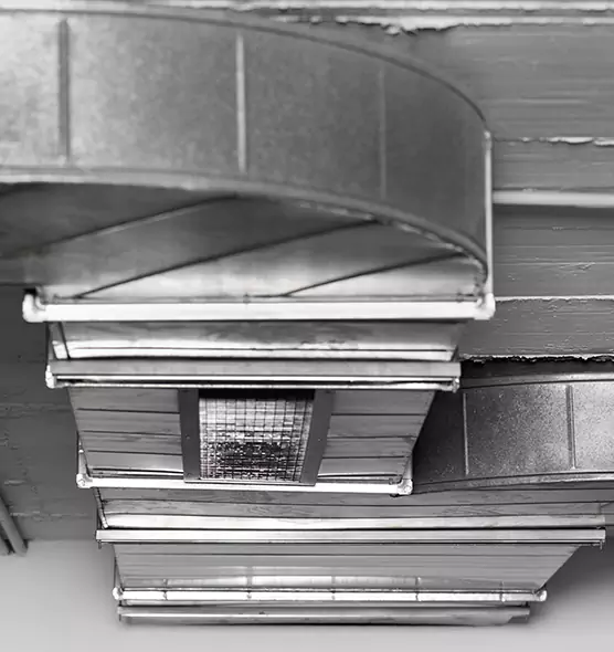 Professional Air Duct Pest Removal in Calhoun, GA