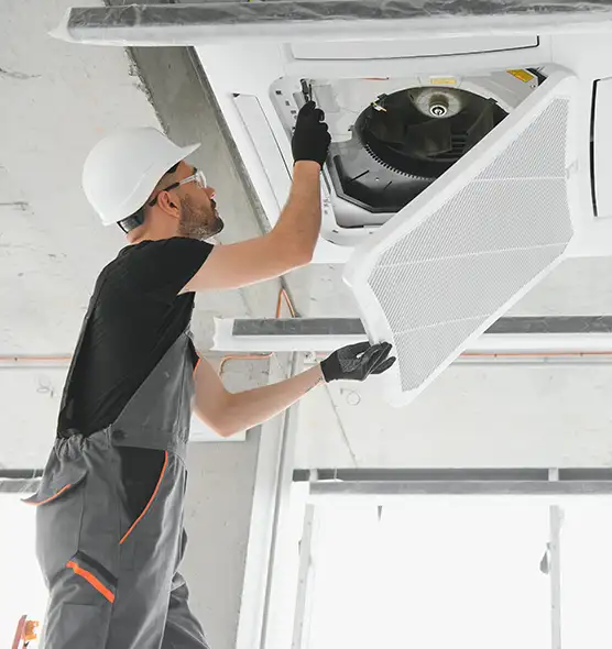 About Air Duct Rodent Removal in Calhoun, GA