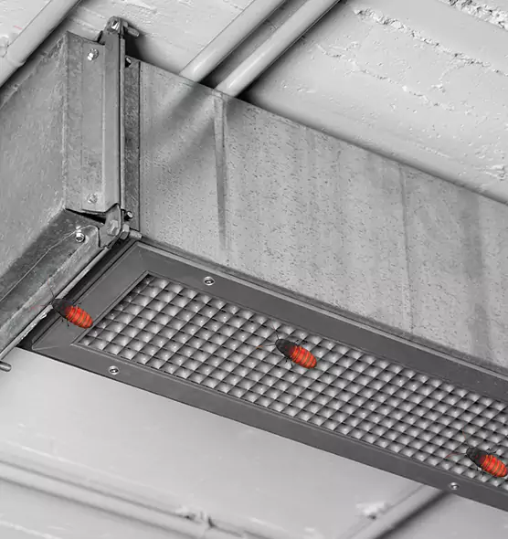 Affordable Insect Removal from Air Ducts in Calhoun, GA