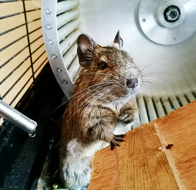 Why Homeowners & Businesses Trust Us Calhoun, GA