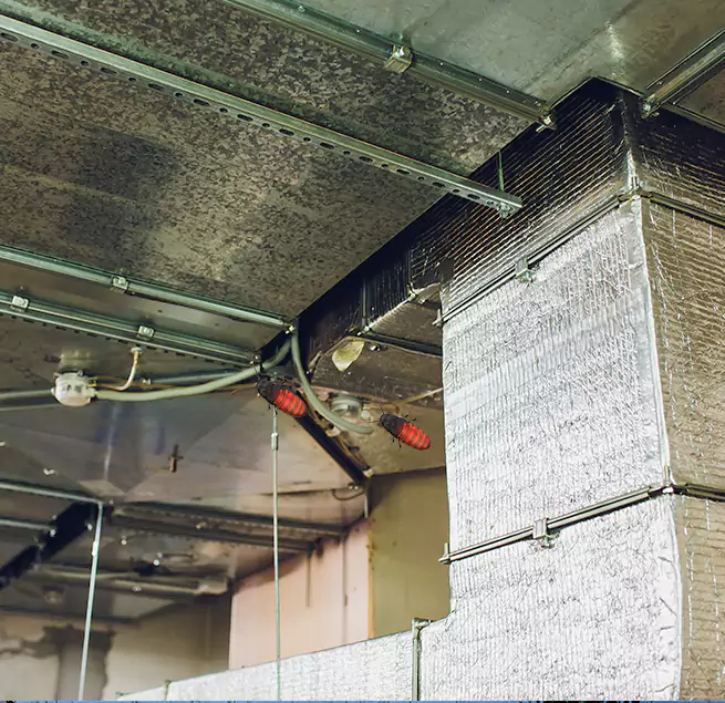 Why Homeowners & Businesses Trust Us Calhoun, GA?